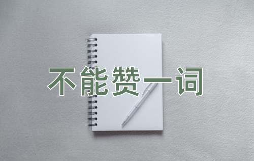 成语不能赞一词