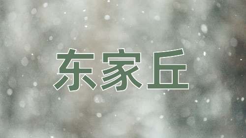 成语东家丘