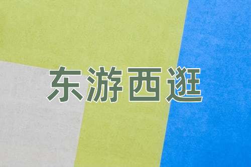 成语东游西逛