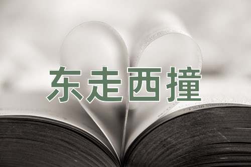 成语东走西撞