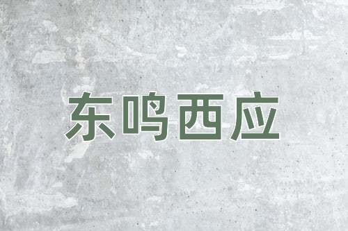 成语东鸣西应