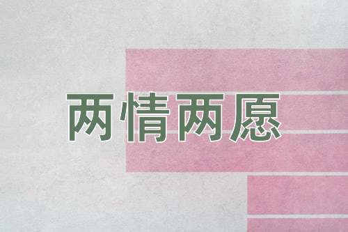 成语两情两愿