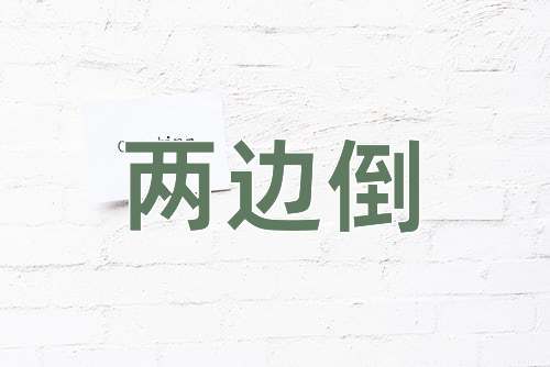 成语两边倒