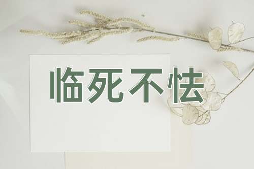 成语临死不怯