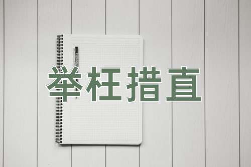 成语举枉措直