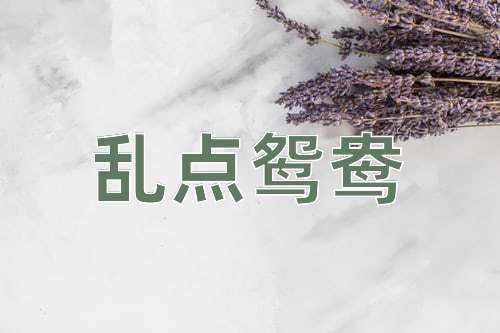 成语乱点鸳鸯