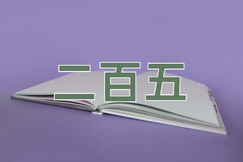成语二百五