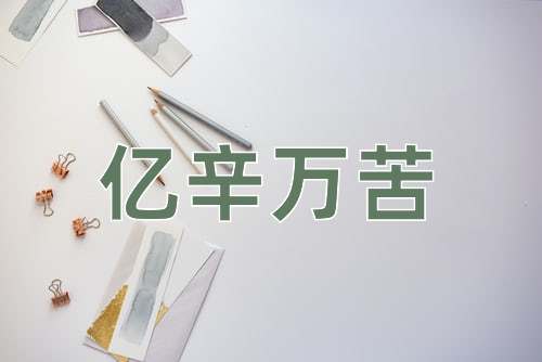 成语亿辛万苦