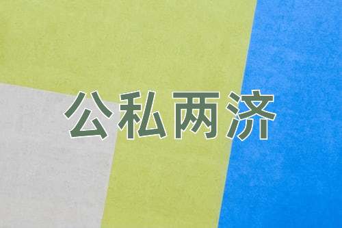 成语公私两济