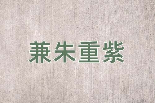 成语兼朱重紫