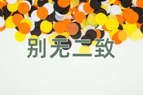 成语别无二致