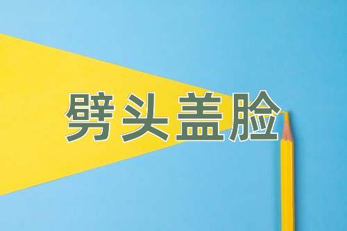 成语劈头盖脸