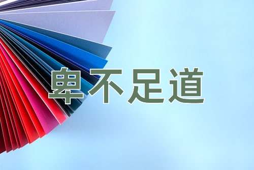 成语卑不足道