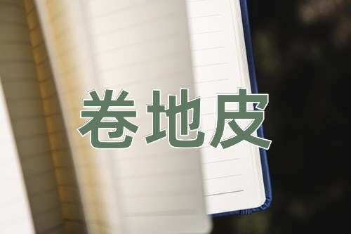 成语卷地皮