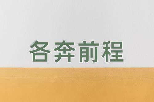 成语各奔前程