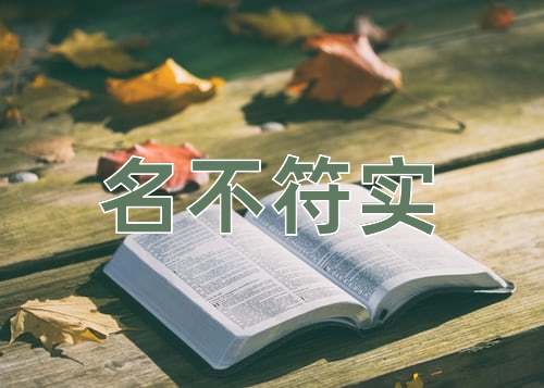 成语名不符实
