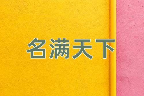 成语名满天下