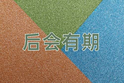 成语后会有期