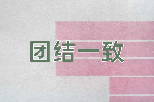 成语团结一致
