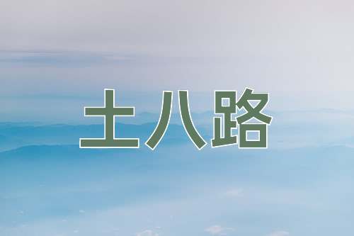 成语土八路