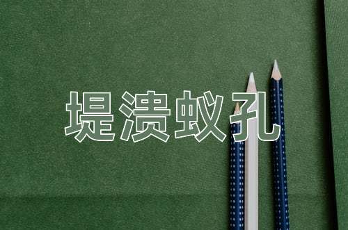 成语堤溃蚁孔