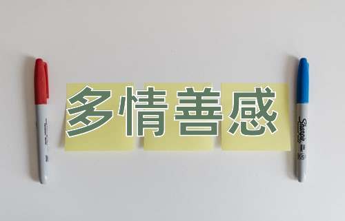 成语多情善感