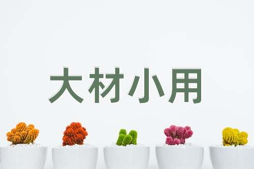 成语大材小用