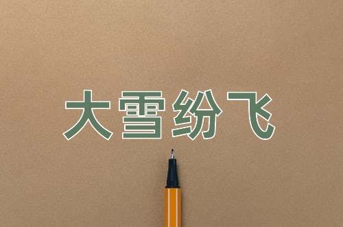 成语大雪纷飞