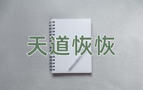 成语天道恢恢