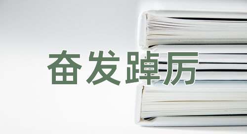 成语奋发踔厉