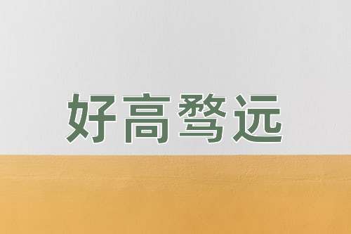 成语好高骛远