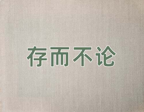 成语存而不论