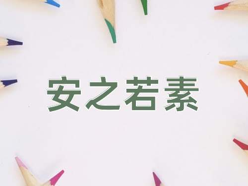 成语安之若素
