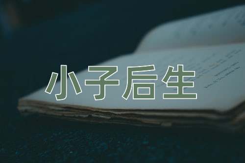 成语小子后生