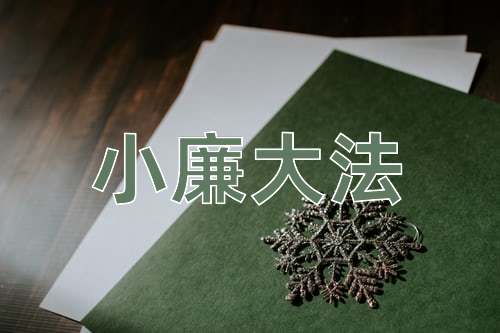 成语小廉大法