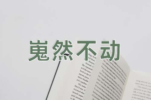 成语嵬然不动