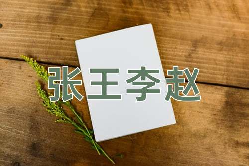 成语张王李赵