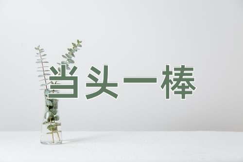 成语当头一棒