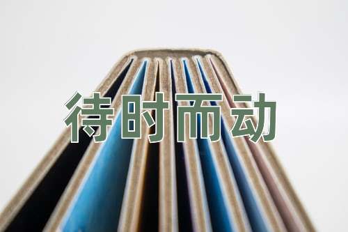 成语待时而动