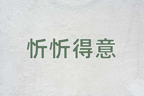 成语忻忻得意