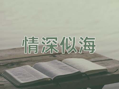 成语情深似海