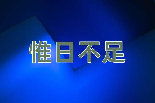 成语惟日不足