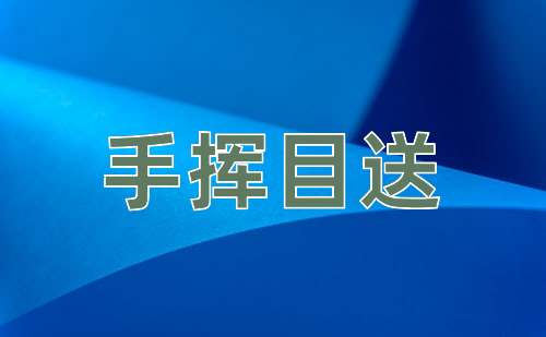 成语手挥目送