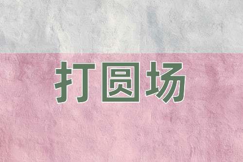 成语打圆场