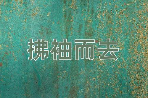 成语拂袖而去