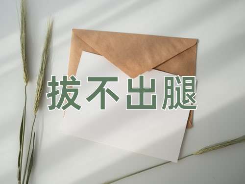 成语拔不出腿