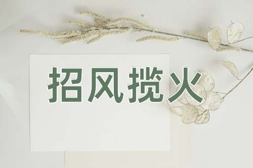 成语招风揽火
