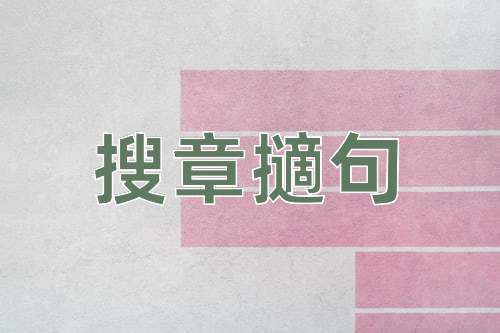 成语搜章擿句