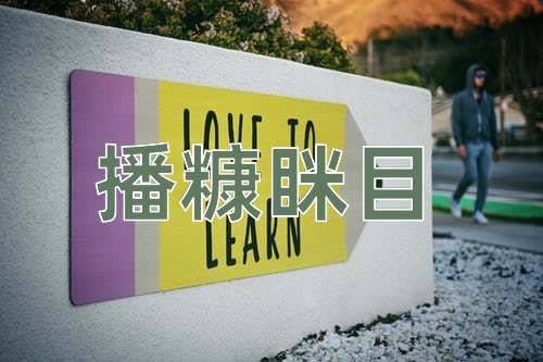 成语播糠眯目