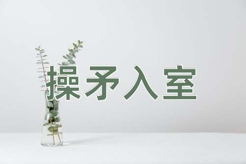 成语操矛入室